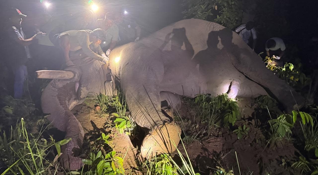 ध्रुवे हात्तीमा रेडियो कलर जडान, बस्तीमा आउनुअघि नै जानकारी हुने