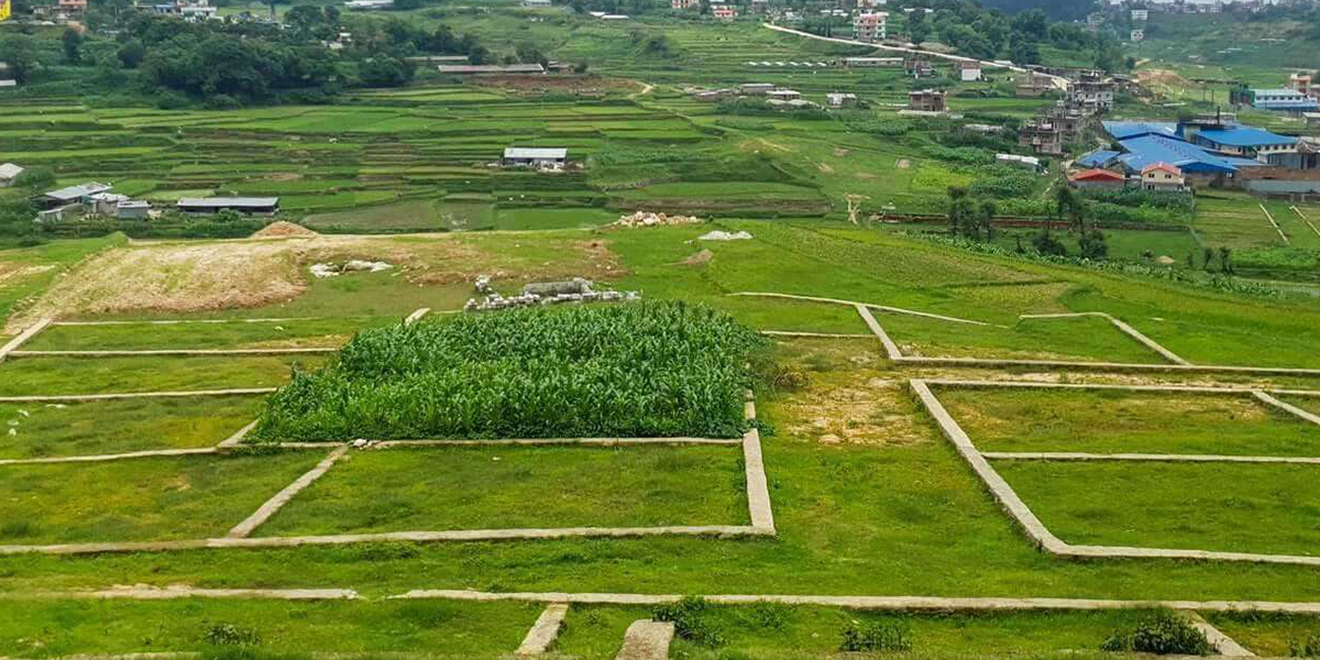 घरजग्गा कारोबारमा देखियो सुधार, ३ महिनामा १८३अर्बको कारोबार